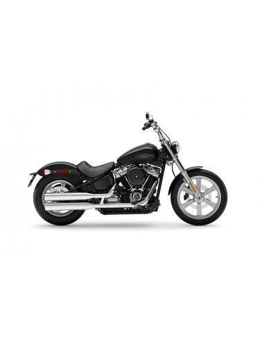 2022 softail standard Harley Davidson